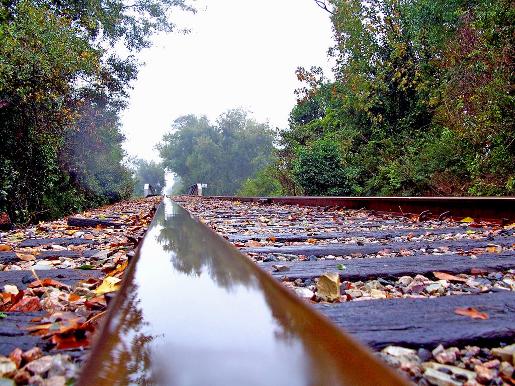 Frisco Railroad, Atmore, Alabama