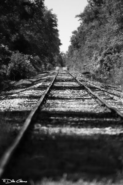 Rail
