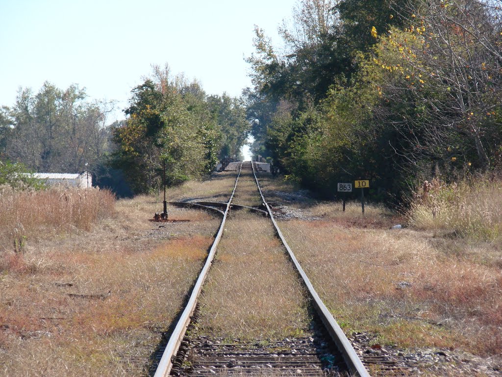Alabama & Gulf Coast Railway