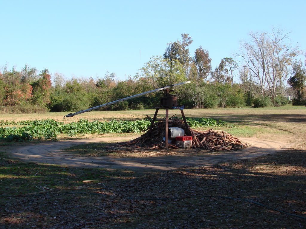 Sugar Cane Mill