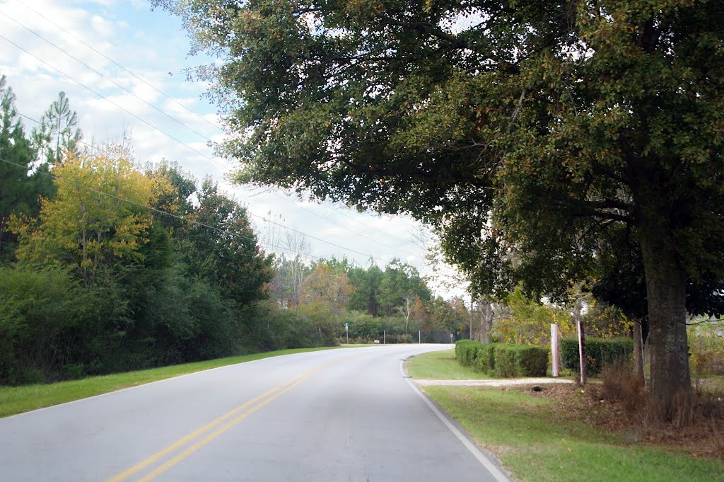 2010, AL, Jack Springs Rd.