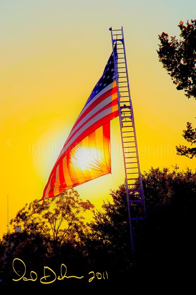 Sunny Glory