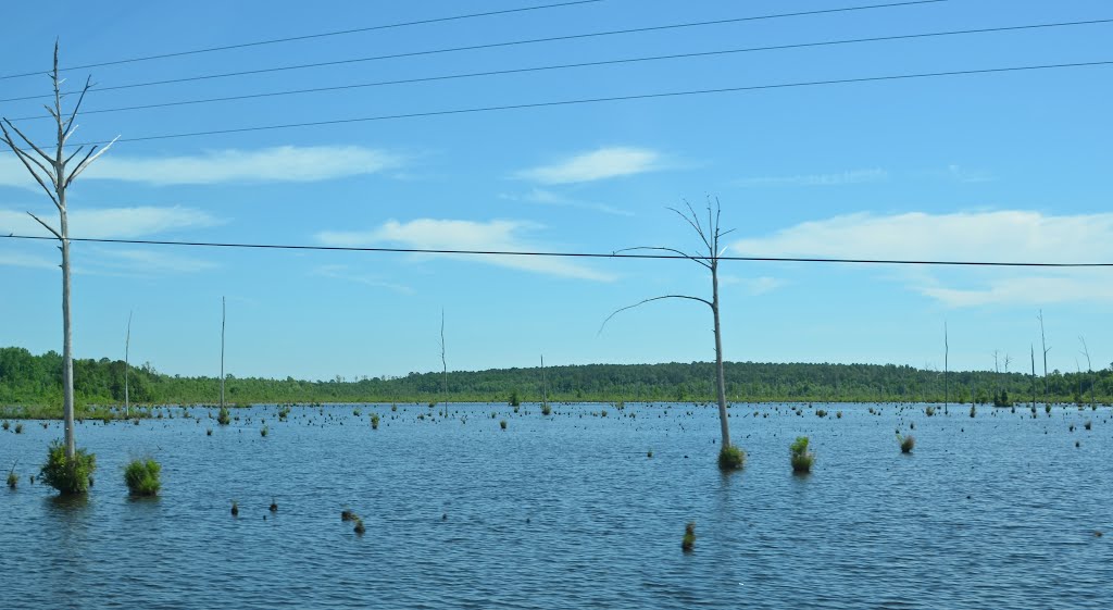 Lake Frank Jackson