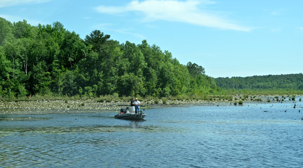 Lake Frank Jackson