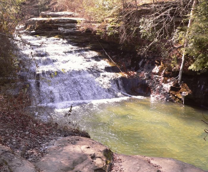 Double Springs