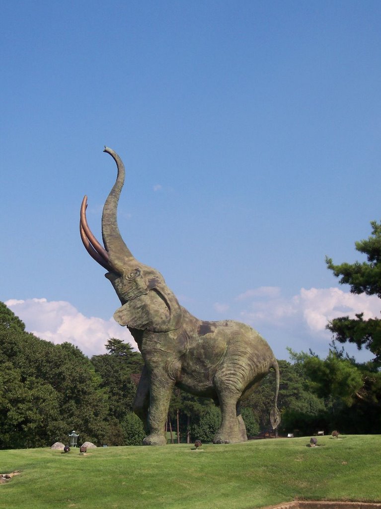 Tuscaloosa