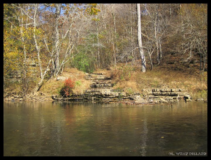 Steps up From the Creek