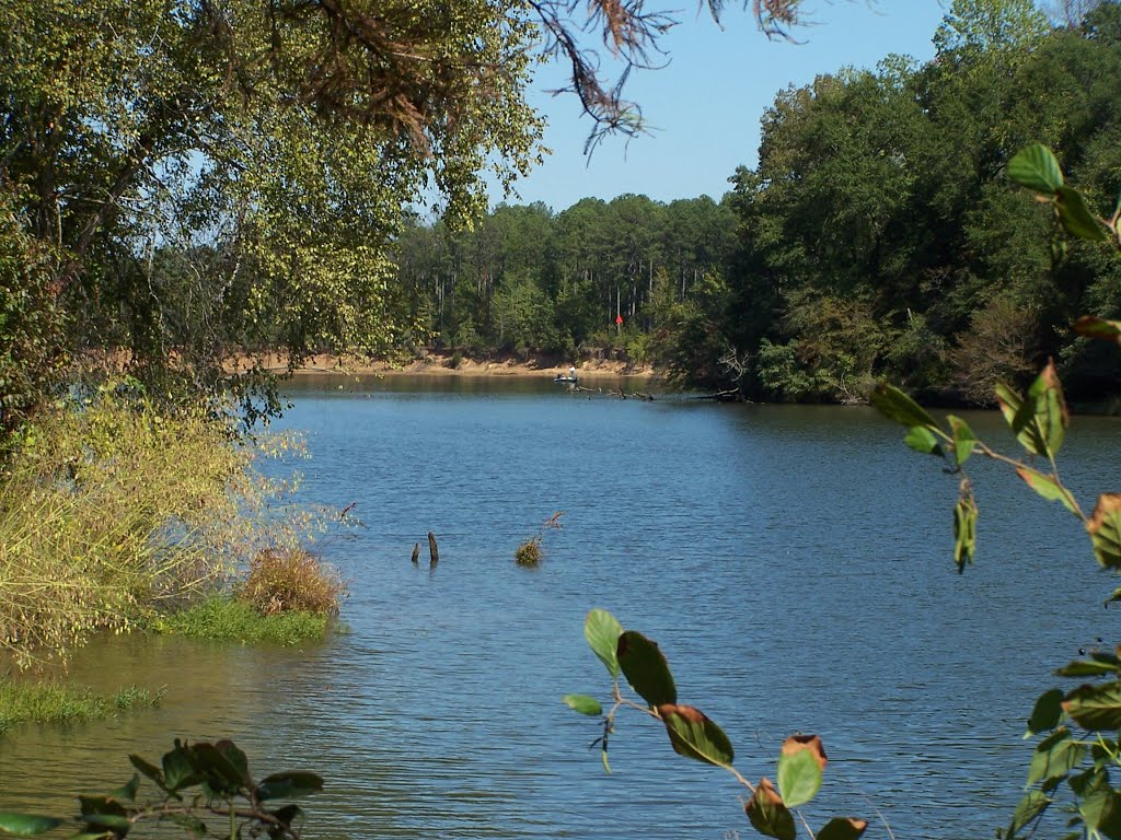 Caledonia