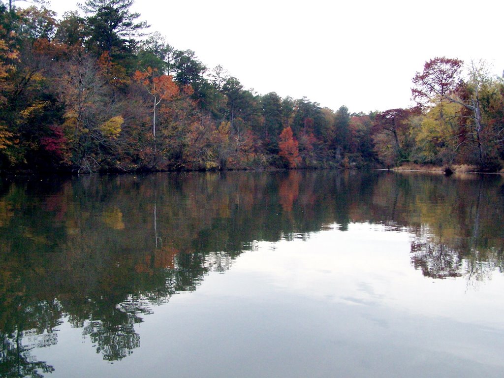 Tombigbee River - November
