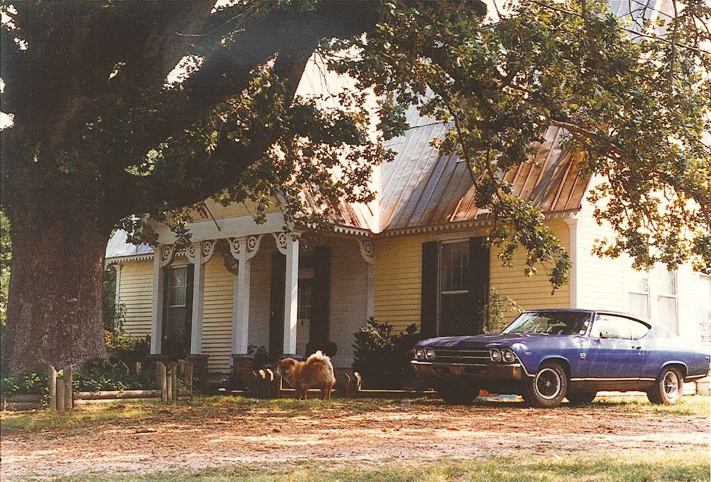4 cool & unique things in this photo tree, house, dog, car) Rienzi Mississippi (8-14-1996) scanned 35mm