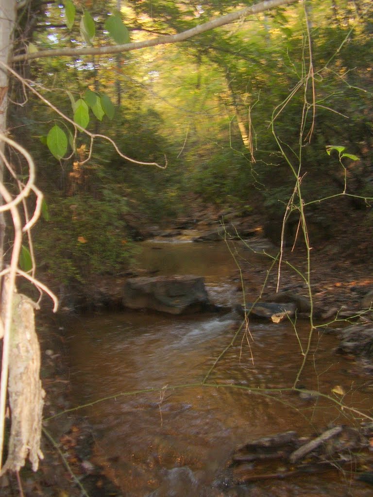 Jimy Creek