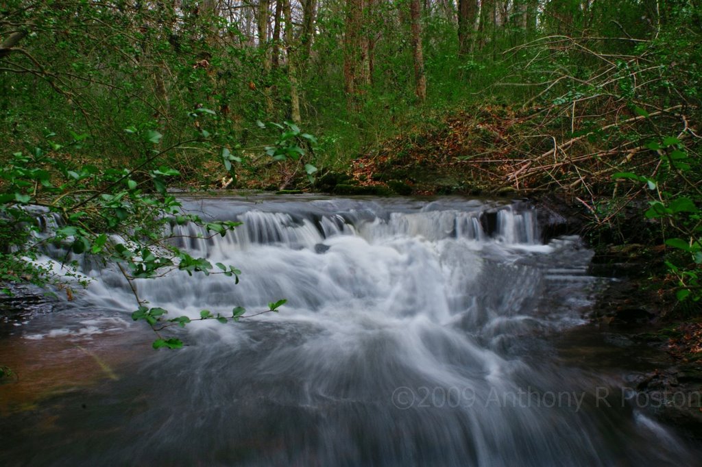 Little Stream at Joe Wheeler