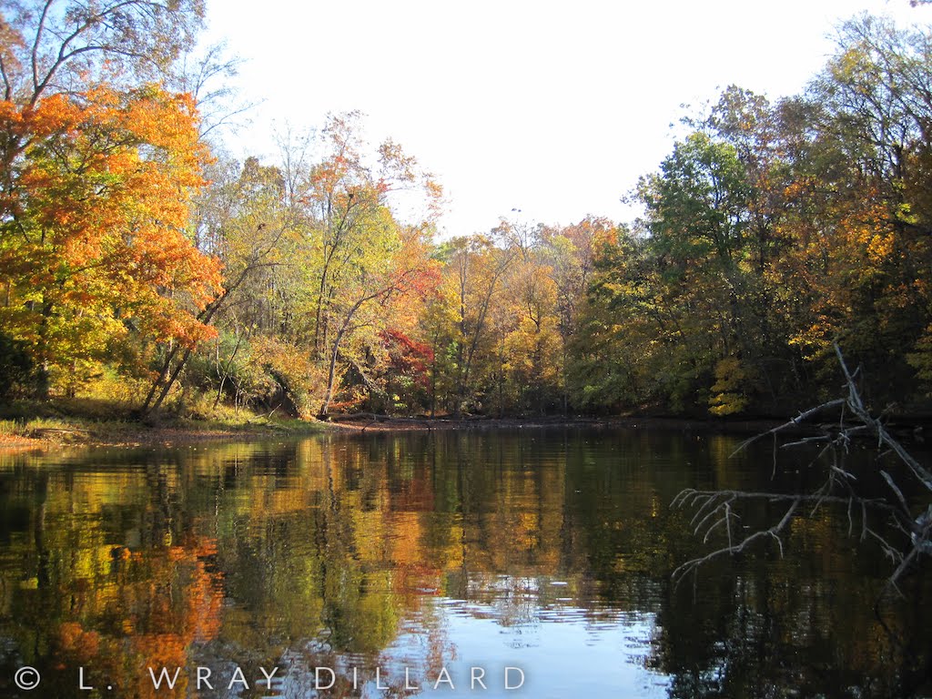 Second Creek On Wheeler Lake