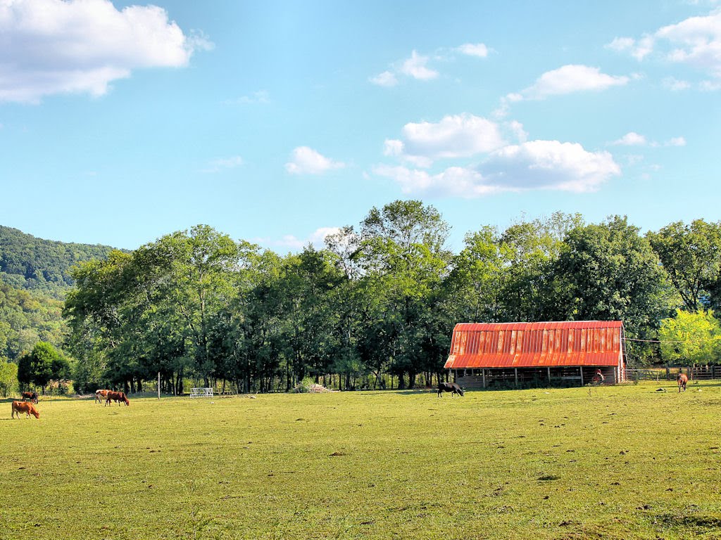 Pastoral Scene near Grant, AL