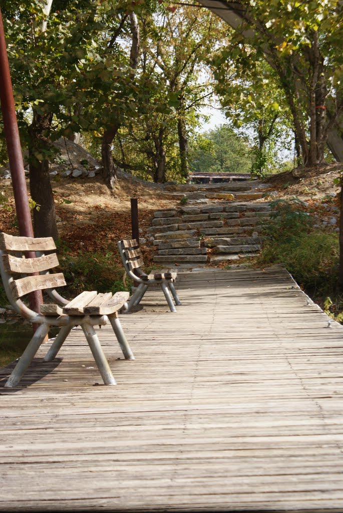 Relaxing Dock