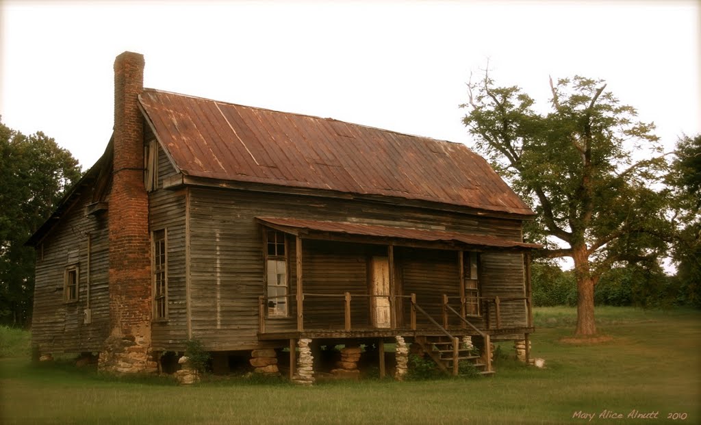 A quiet little roadside cabin