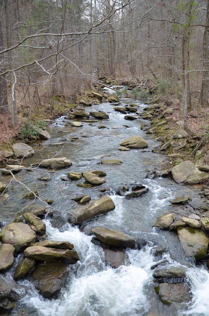 Locust Fork Creek