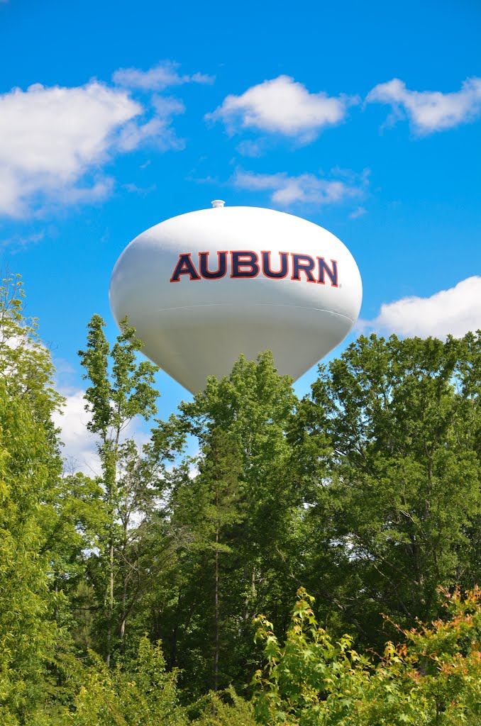 Water Tower
