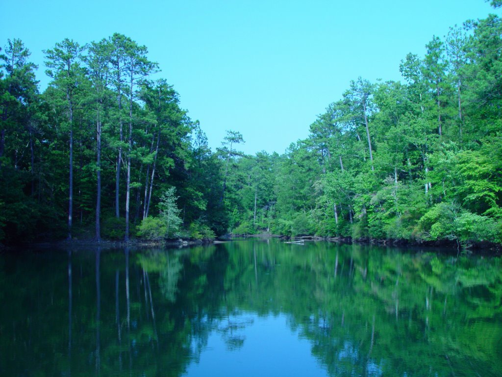 small finger of Lake Martin, near Dadeville ALA (8-4-2006)