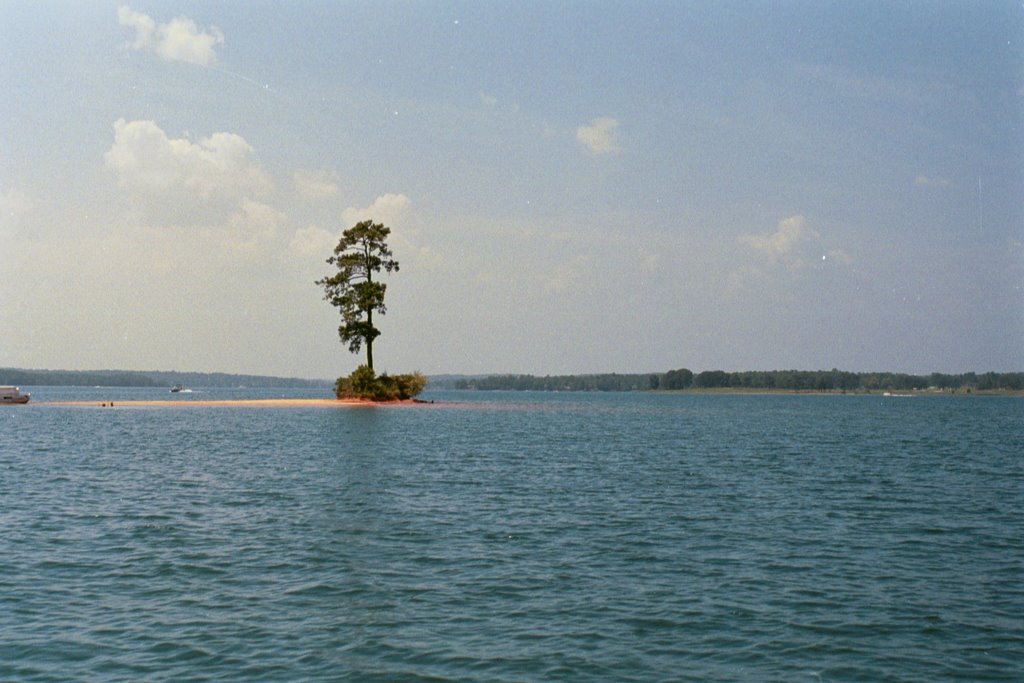 THE LONE PINE, Sand Island, Lake Martin, ALA (8-4-2006)