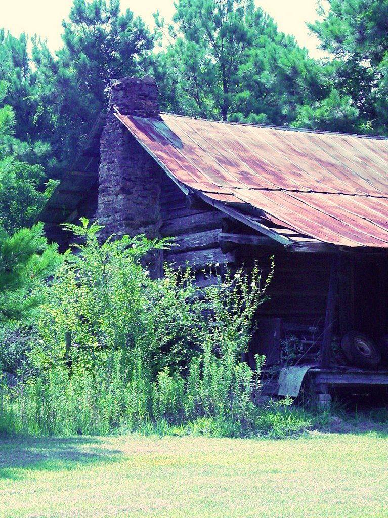 old Dozier log cabin, Barnesville Alabama (8-6-2006)