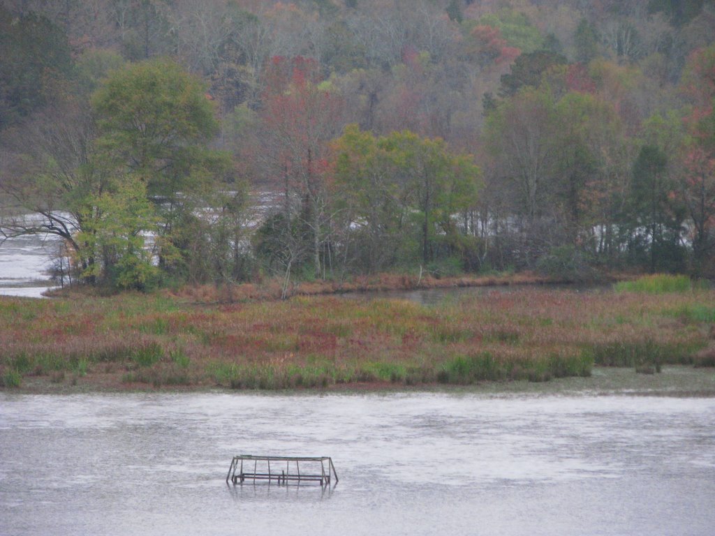 Fall with Rain