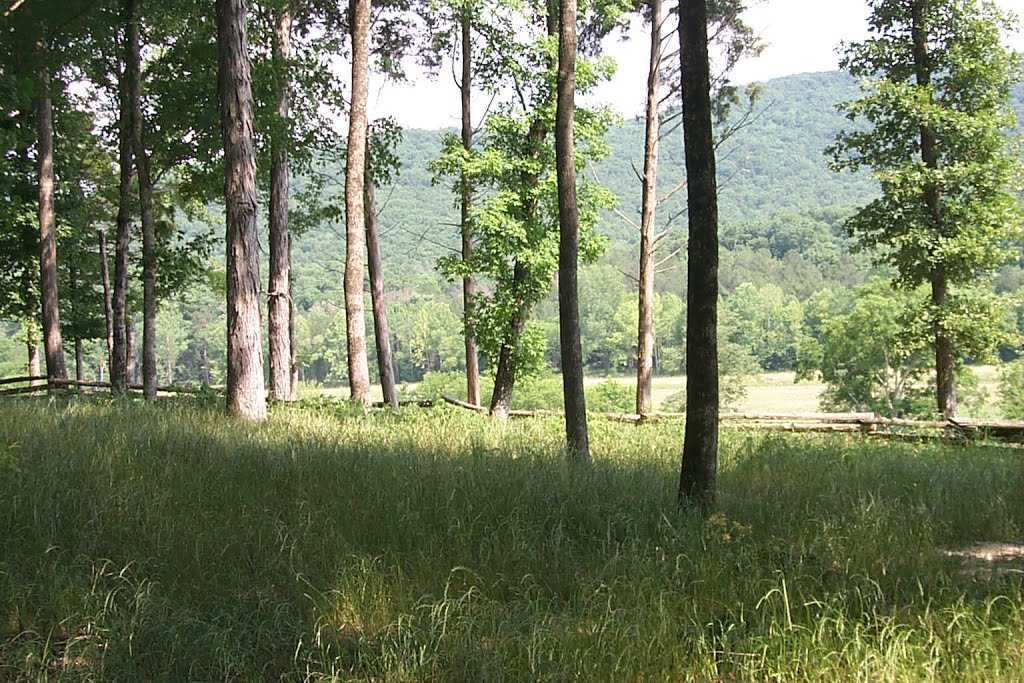 Kennamer Cove from Pisgah Cemetery