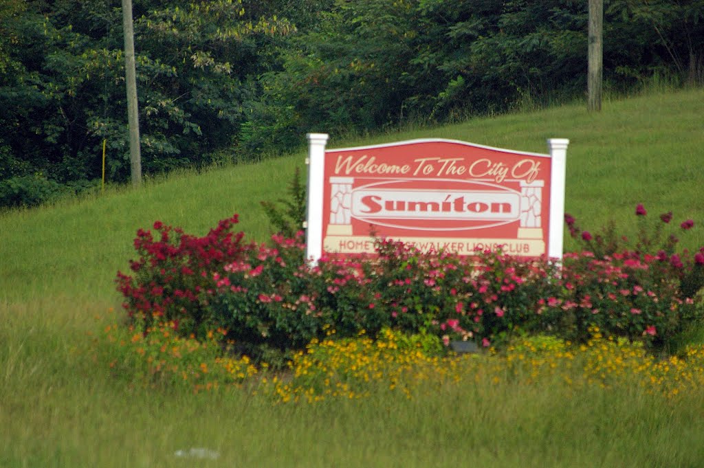 2010, Sumiton, AL - Welcome sign