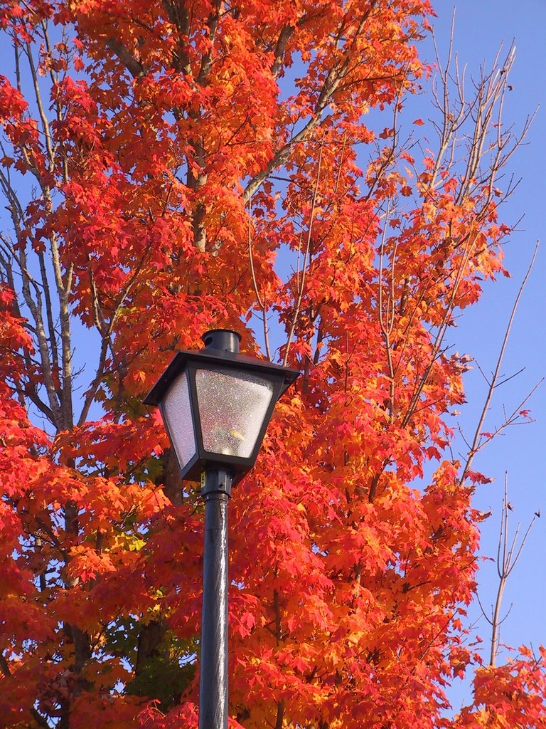 Vestavia Hills, Civic Center