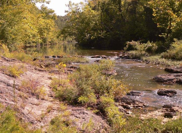 Bibb County Glades Preserve