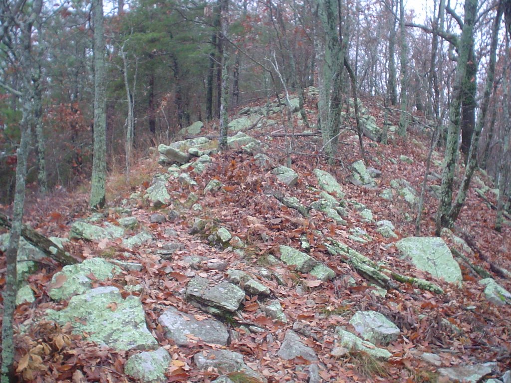 Rocky ridgeline of Double Oak Mountain