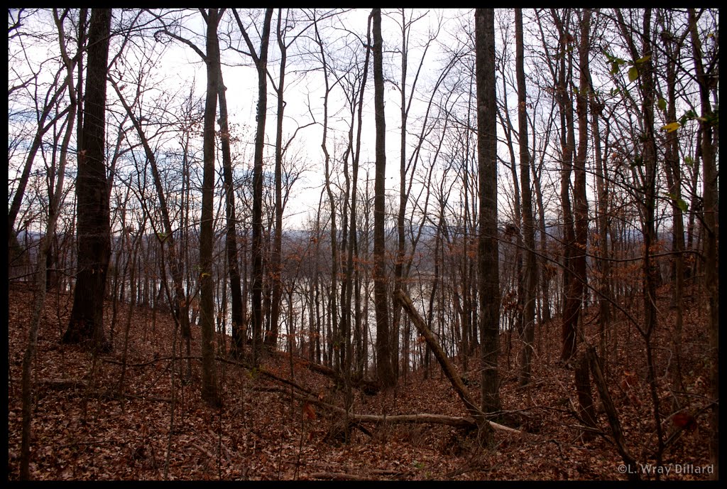 Key Cave National Wildlife Refuge