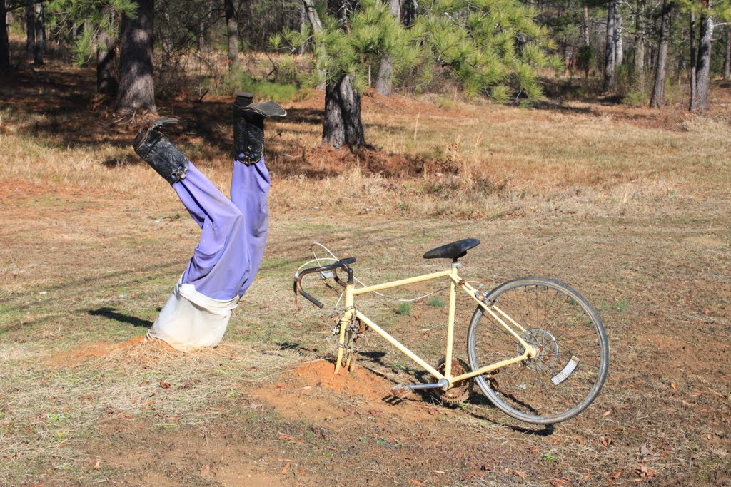 Lawn Art - Bike Crash