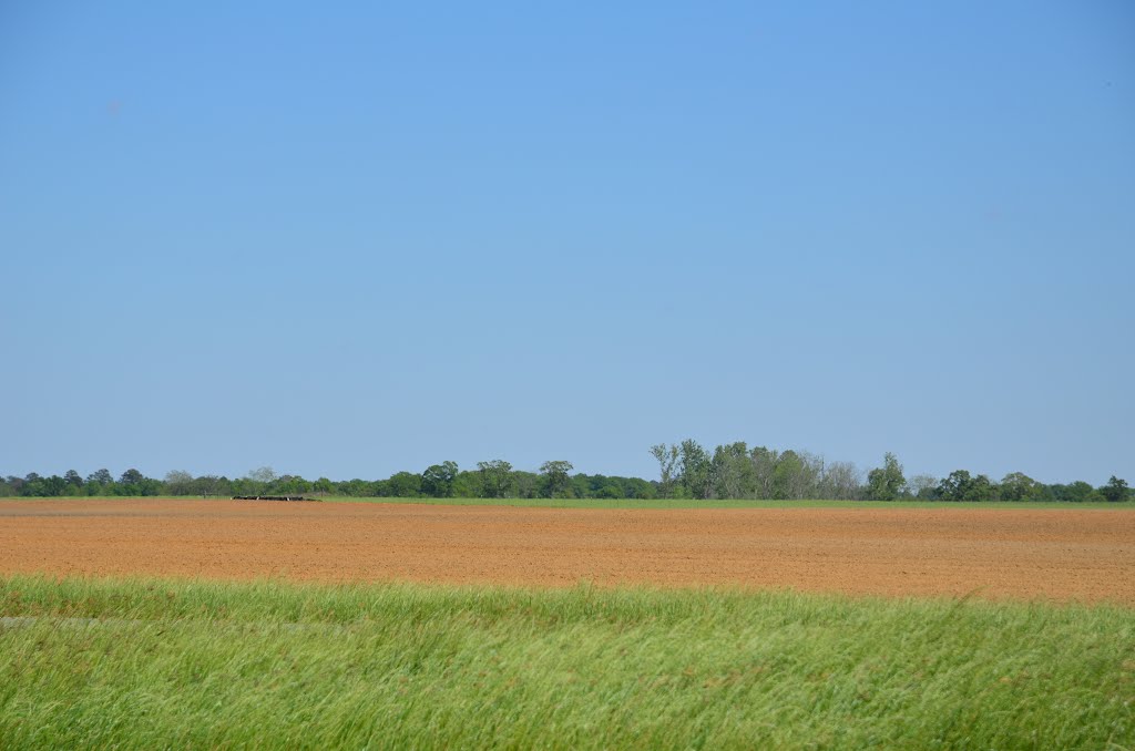 Rural Henry County