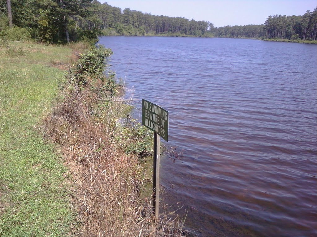 Lake & alligator warning sign, Geneva state forest