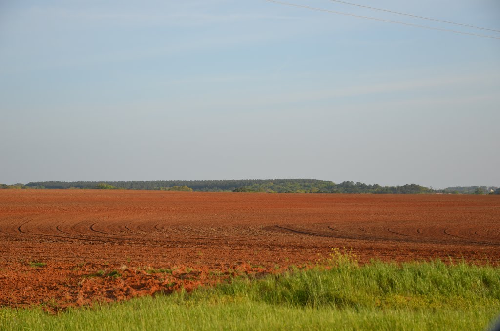 Rural Coffee County