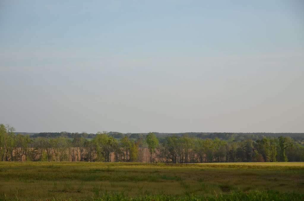 Rural Coffee County
