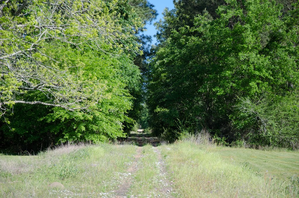 Louisville & Nashville Roadbed