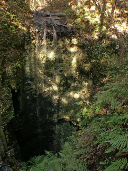 Waterfall at Falling Water State Park