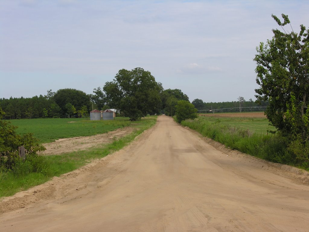 Alabama Florida Line