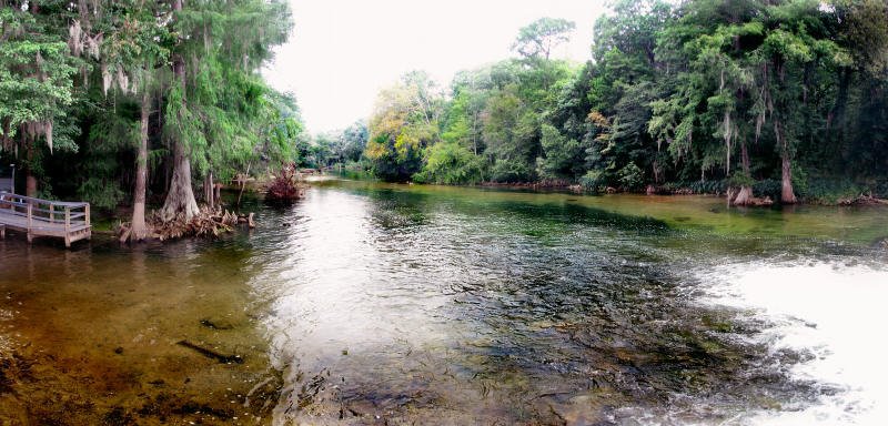 Spring Creek, at the Highway 90 Dam