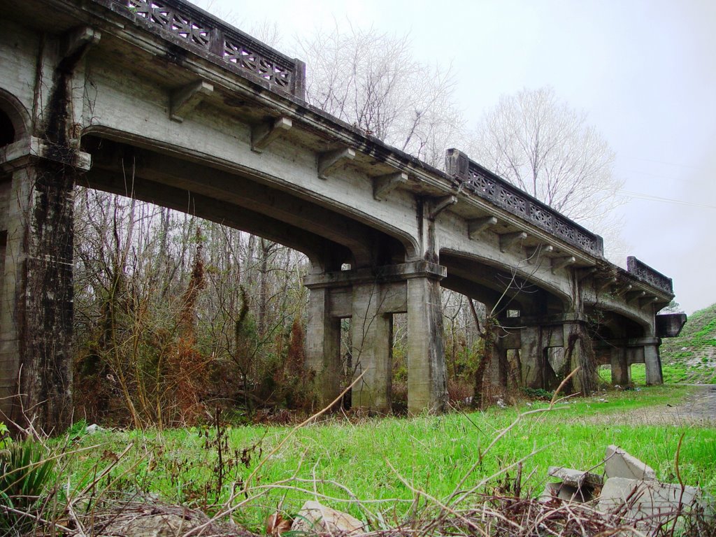 1920 Victory Bridge ruins, once spanned the Apalachicola river, Chattahoochee (12-31-2006)