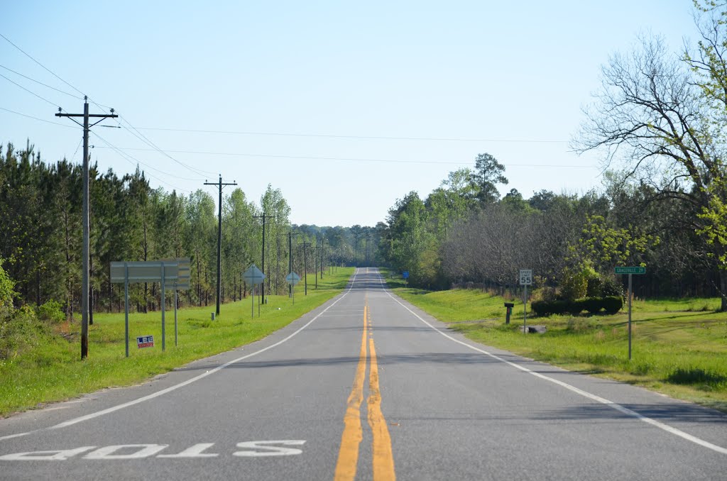 Hog and Hominy Highway
