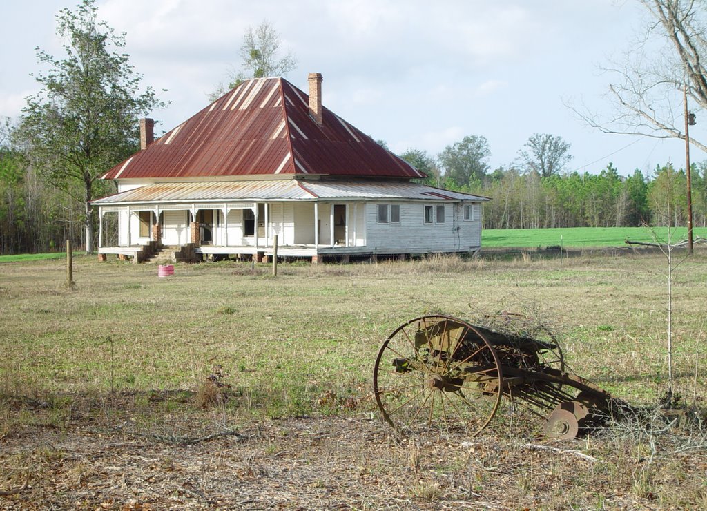 Abandoned farmhouse, Inwood, Florida (12-30-2006)