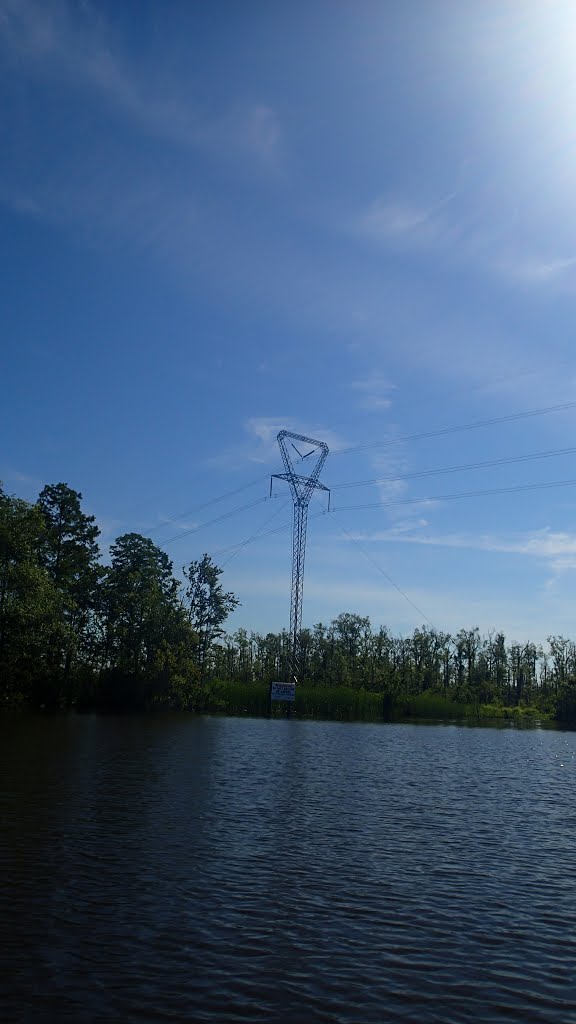Power lines in Bayou Sara
