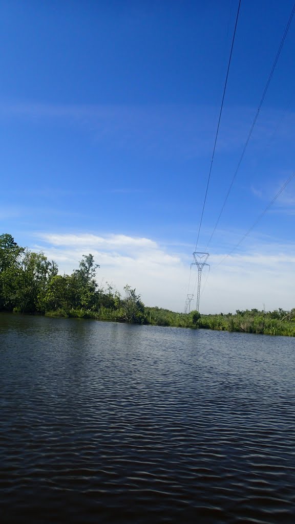 Power lines across Bayou Sara