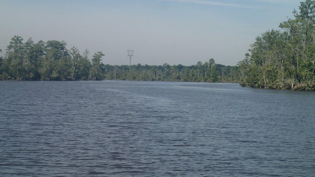 When Bayou Sara makes you feel small