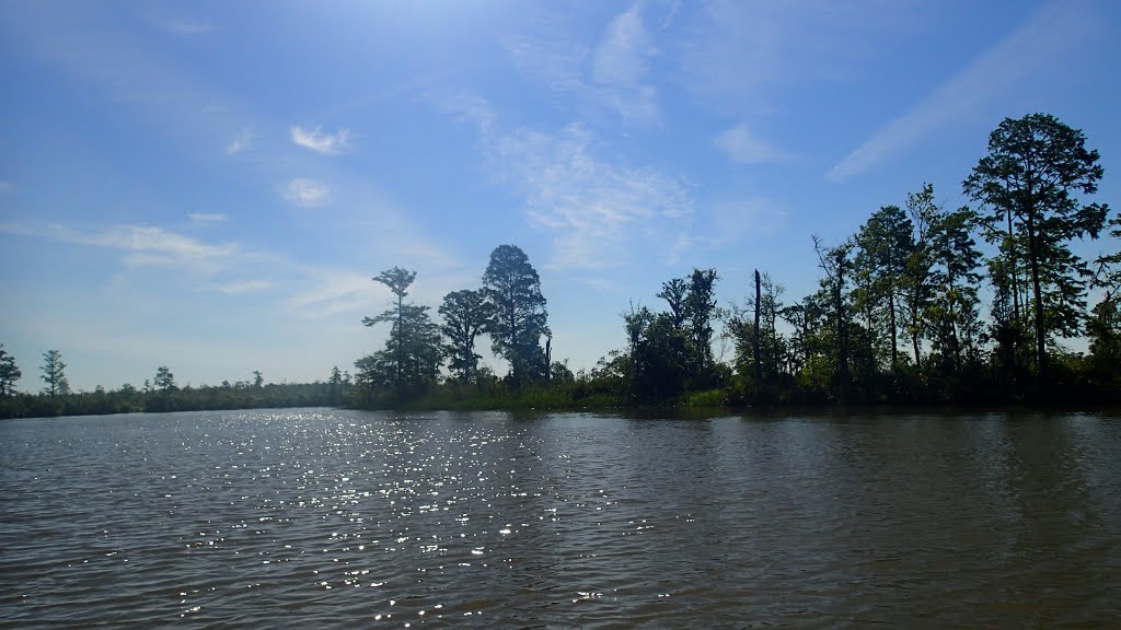 Scenic Bayou Sara