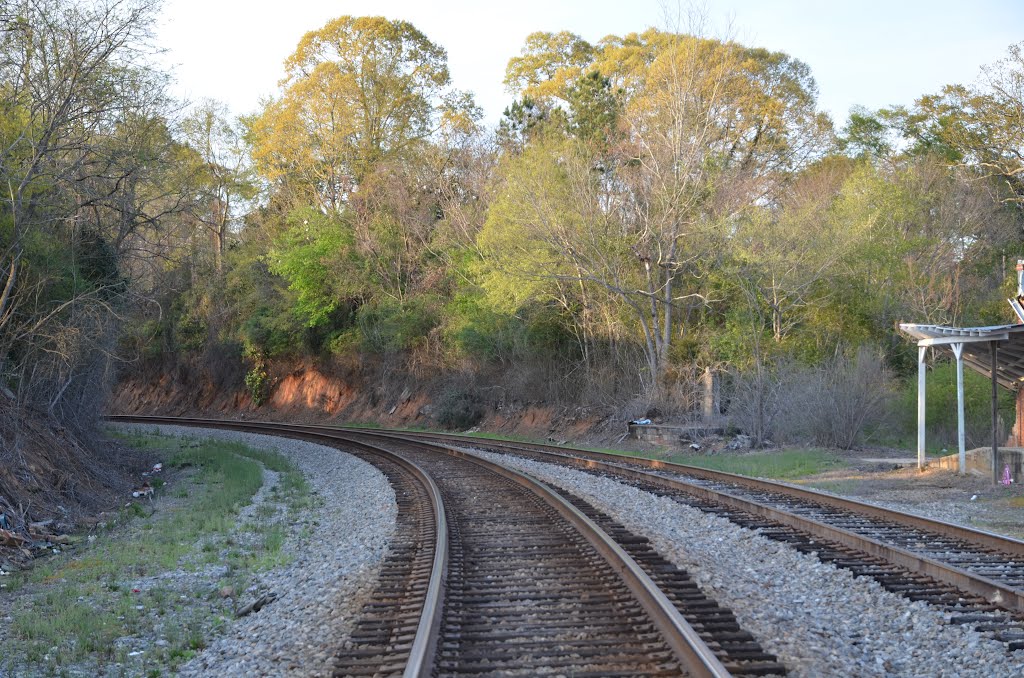 NS P-Line