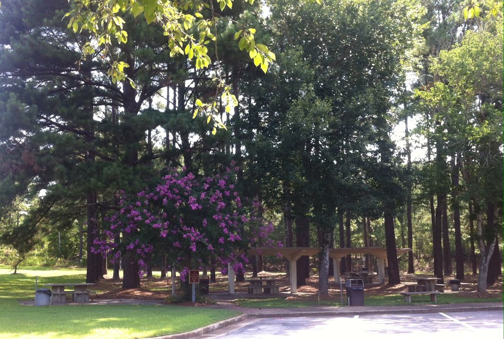 Georgia Rest Stop